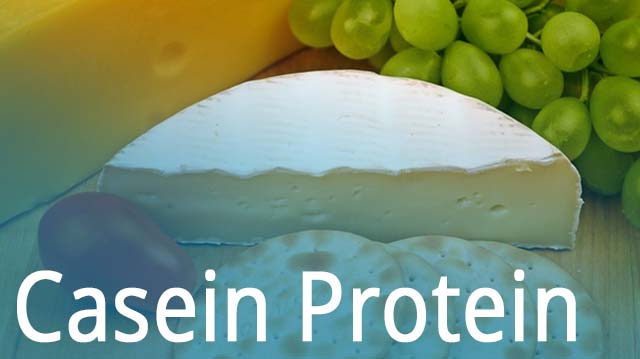 Casein Protein