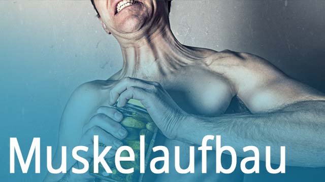 Muskelaufbau